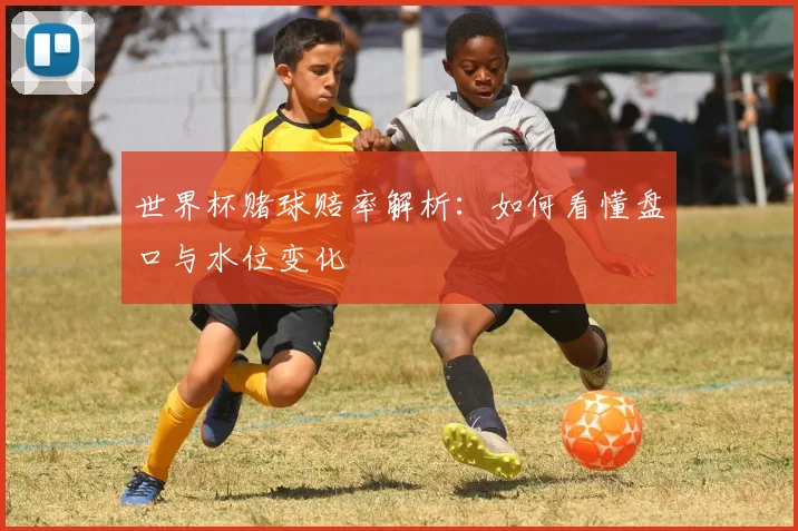 世界杯赌球赔率解析：如何看懂盘口与水位变化