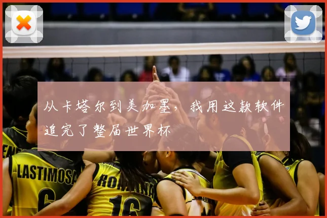 从卡塔尔到美加墨，我用这款软件追完了整届世界杯
