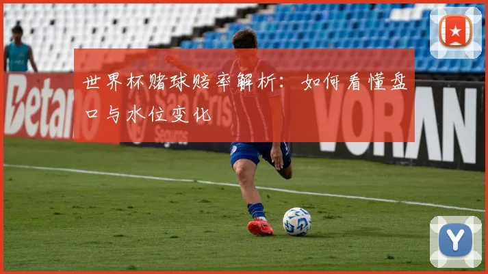 世界杯赌球赔率解析:如何看懂盘口与水位变化
