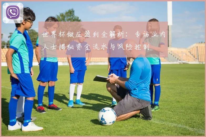 世界杯做庄盈利全解析:专访业内人士揭秘资金流水与风险控制
