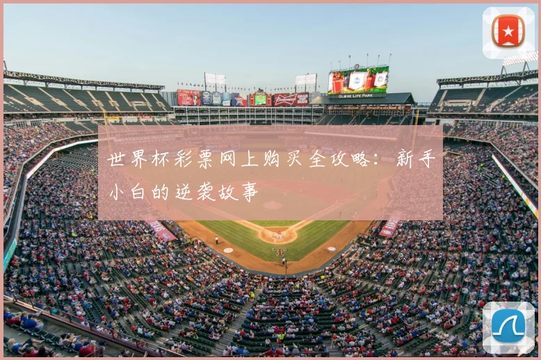 世界杯彩票网上购买全攻略：新手小白的逆袭故事
