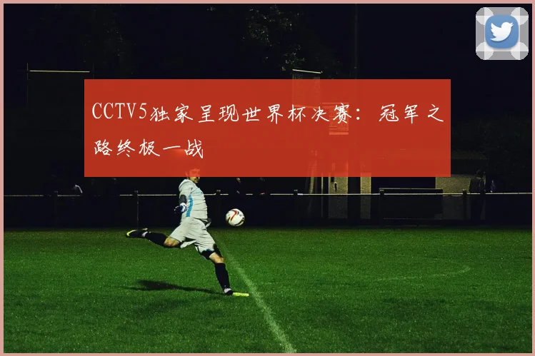 CCTV5独家呈现世界杯决赛：冠军之路终极一战
