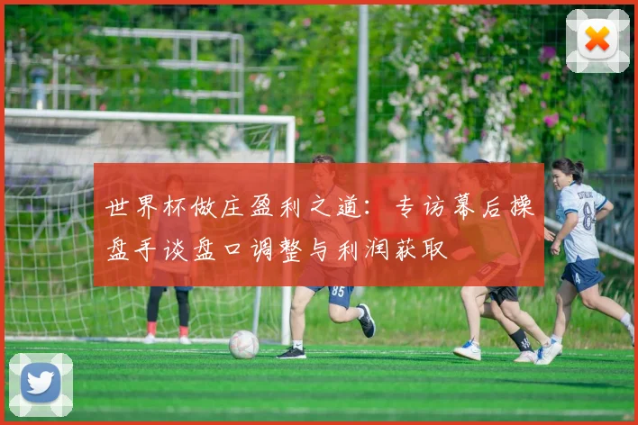 世界杯做庄盈利之道：专访幕后操盘手谈盘口调整与利润获取